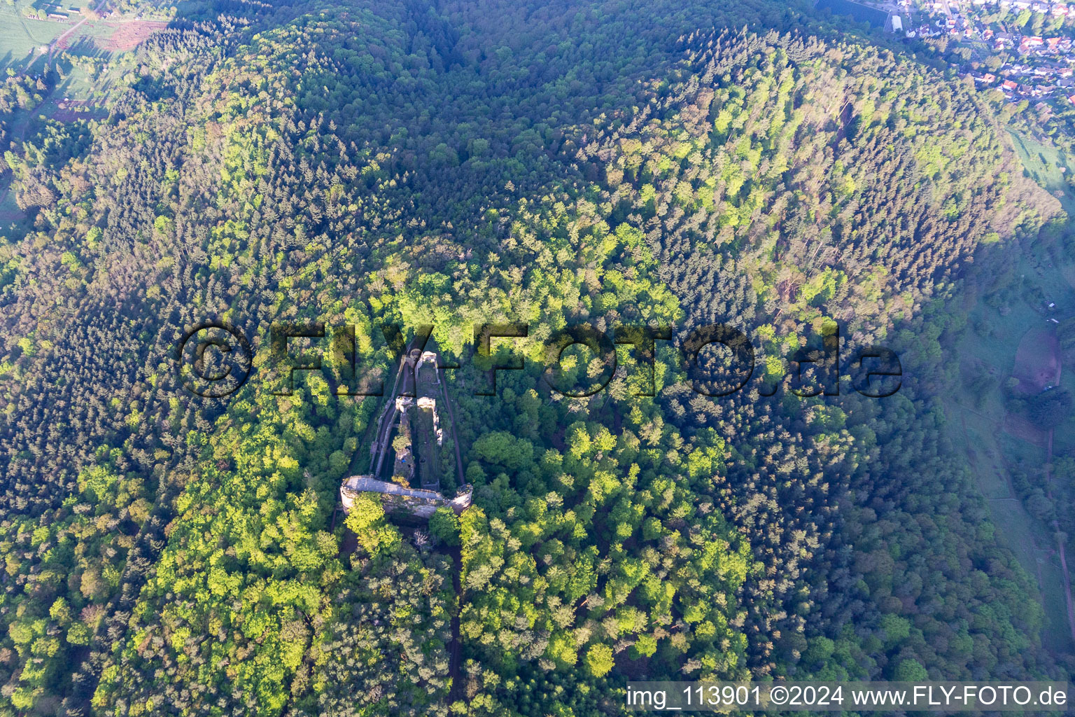 Oblique view of Neuscharfeneck Castle Ruins in Flemlingen in the state Rhineland-Palatinate, Germany