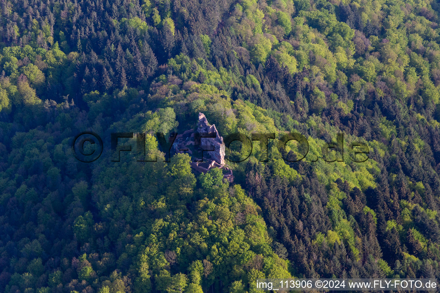 Castle Meisteresel in Ramberg in the state Rhineland-Palatinate, Germany