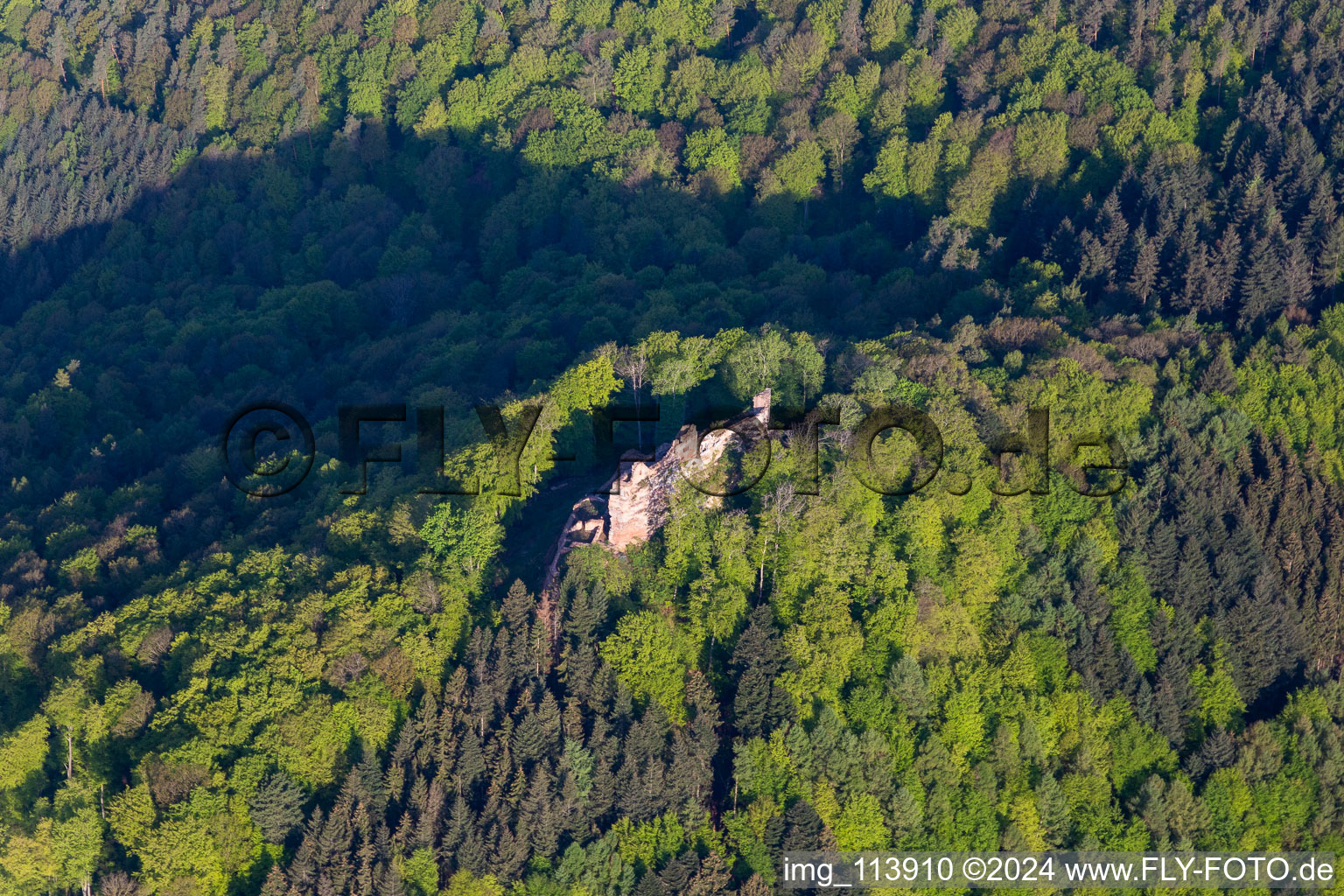 Aerial view of Castle Meisteresel in Ramberg in the state Rhineland-Palatinate, Germany