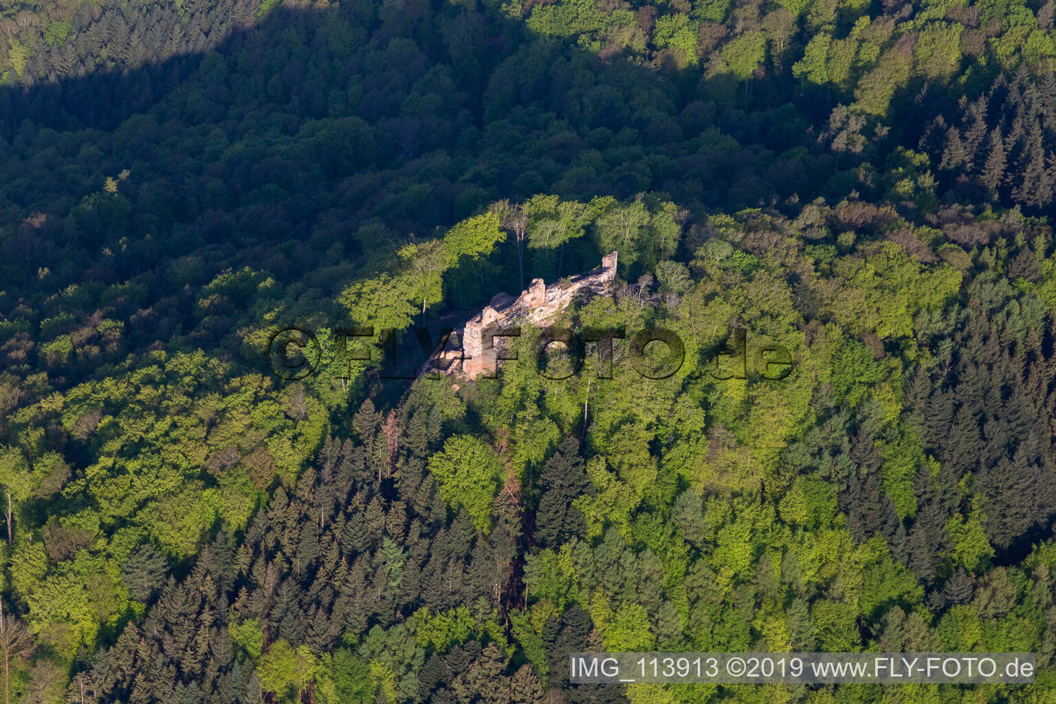 Aerial view of Ruins and vestiges of the former castle and fortress Burg Meistersel in Ramberg in the state Rhineland-Palatinate, Germany