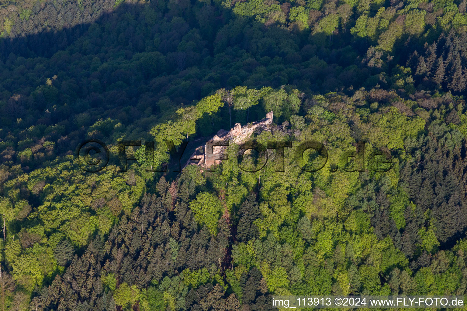 Aerial view of Ruins and vestiges of the former castle and fortress Burg Meistersel in Ramberg in the state Rhineland-Palatinate, Germany