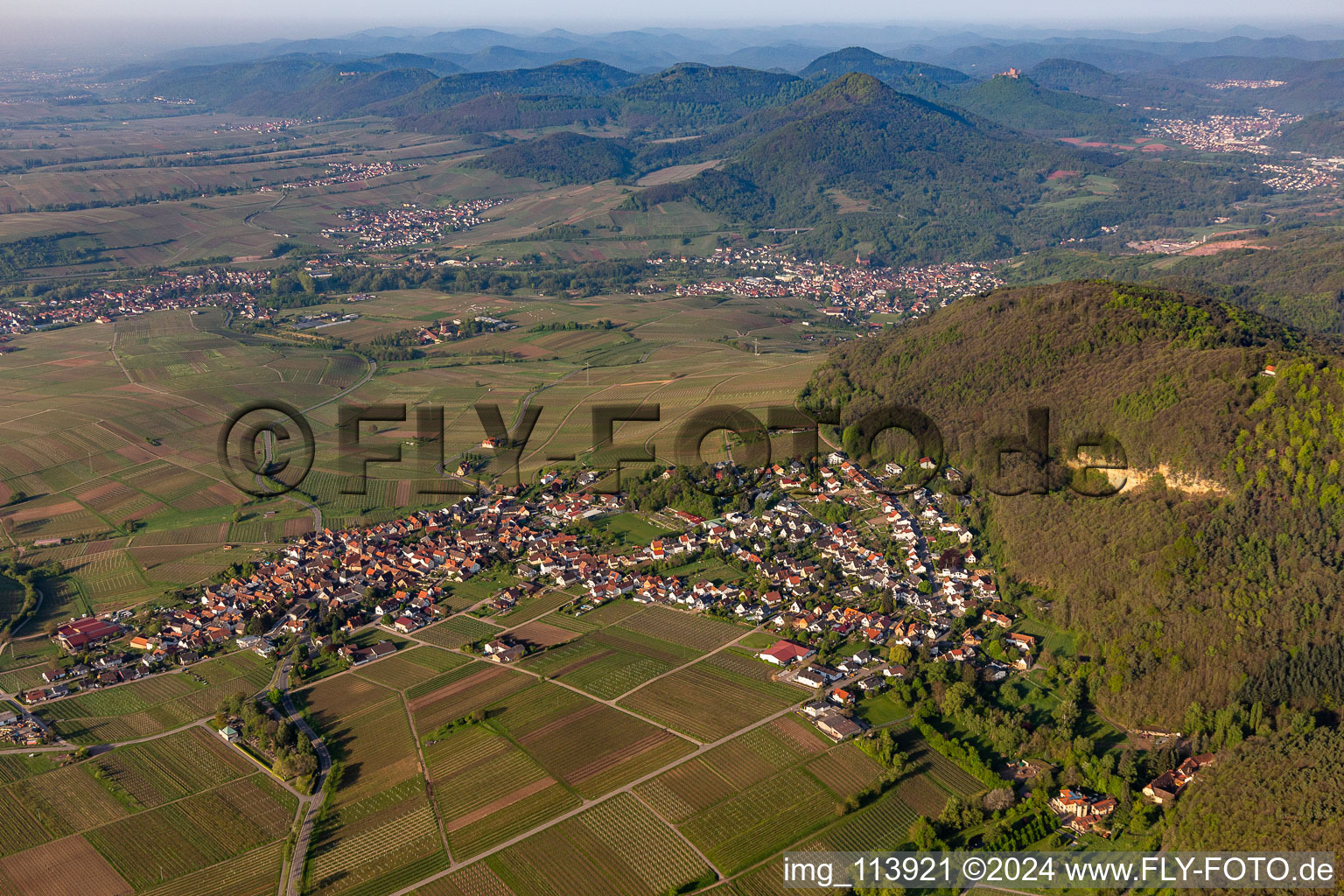 Frankweiler in the state Rhineland-Palatinate, Germany from the drone perspective