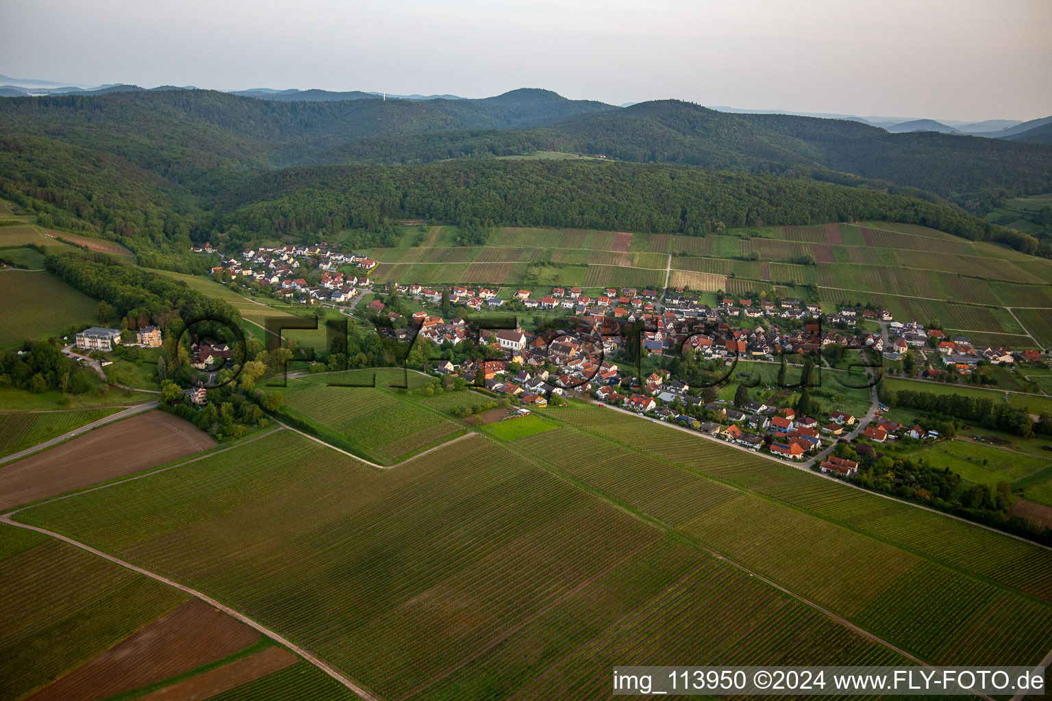 District Pleisweiler in Pleisweiler-Oberhofen in the state Rhineland-Palatinate, Germany from above