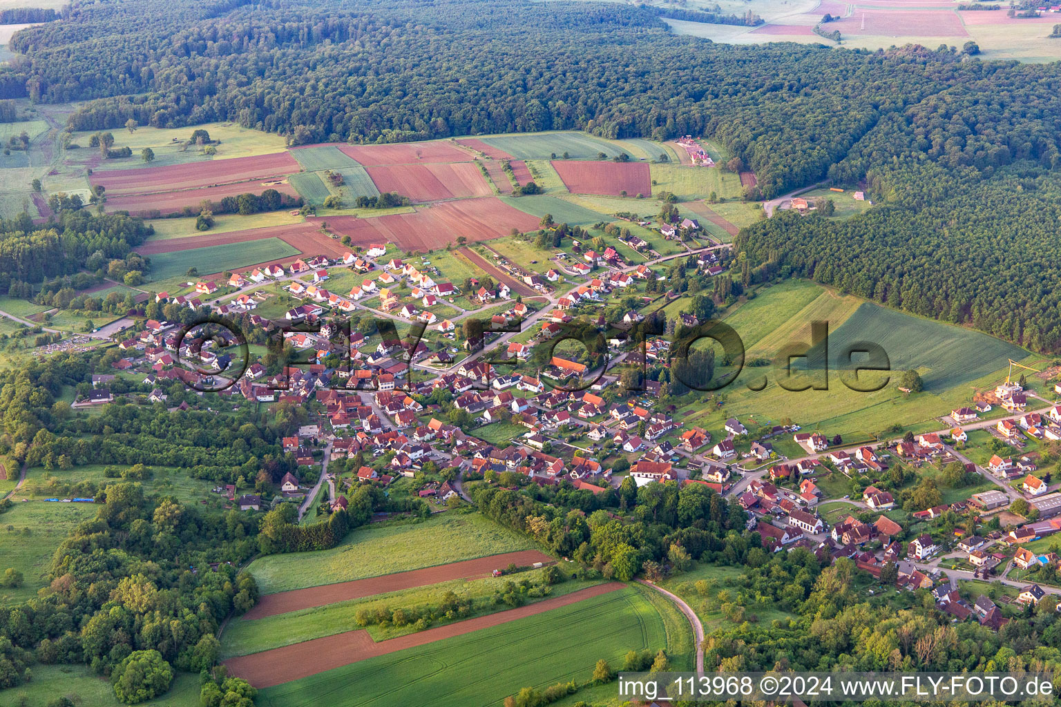 Bird's eye view of Lobsann in the state Bas-Rhin, France