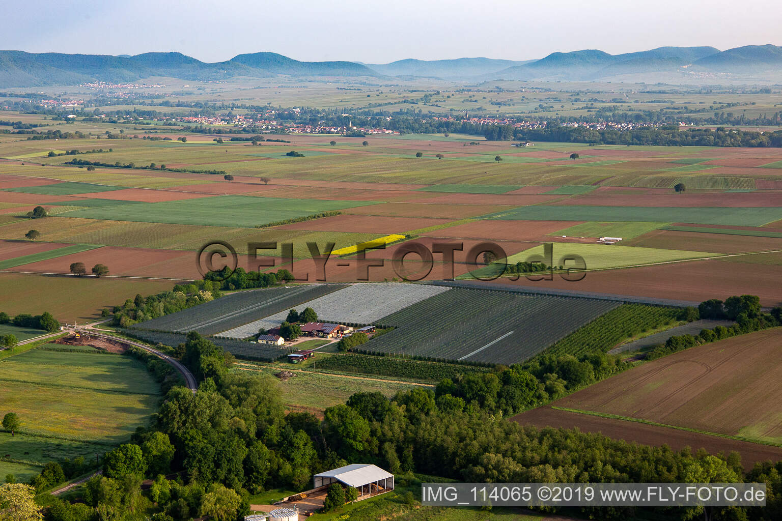Fruit cultivation plantation of Obst- and Spagelhof Gensheimer in Winden in the state Rhineland-Palatinate, Germany