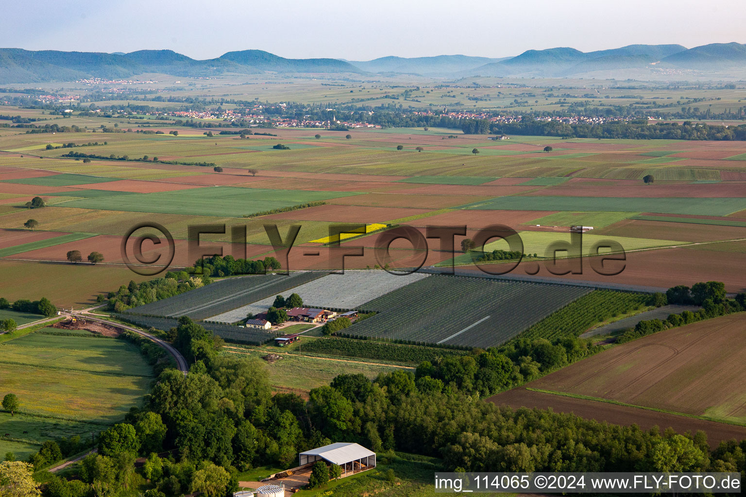 Fruit cultivation plantation of Obst- and Spagelhof Gensheimer in Winden in the state Rhineland-Palatinate, Germany