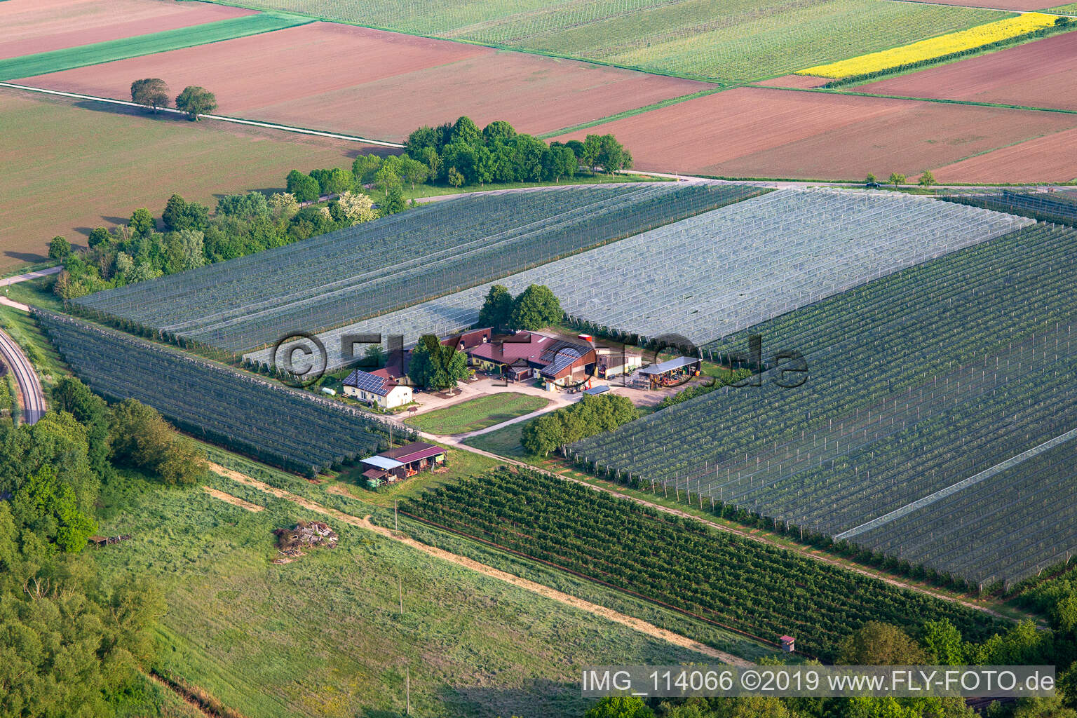 Gensheimer fruit and spagel farm in Steinweiler in the state Rhineland-Palatinate, Germany