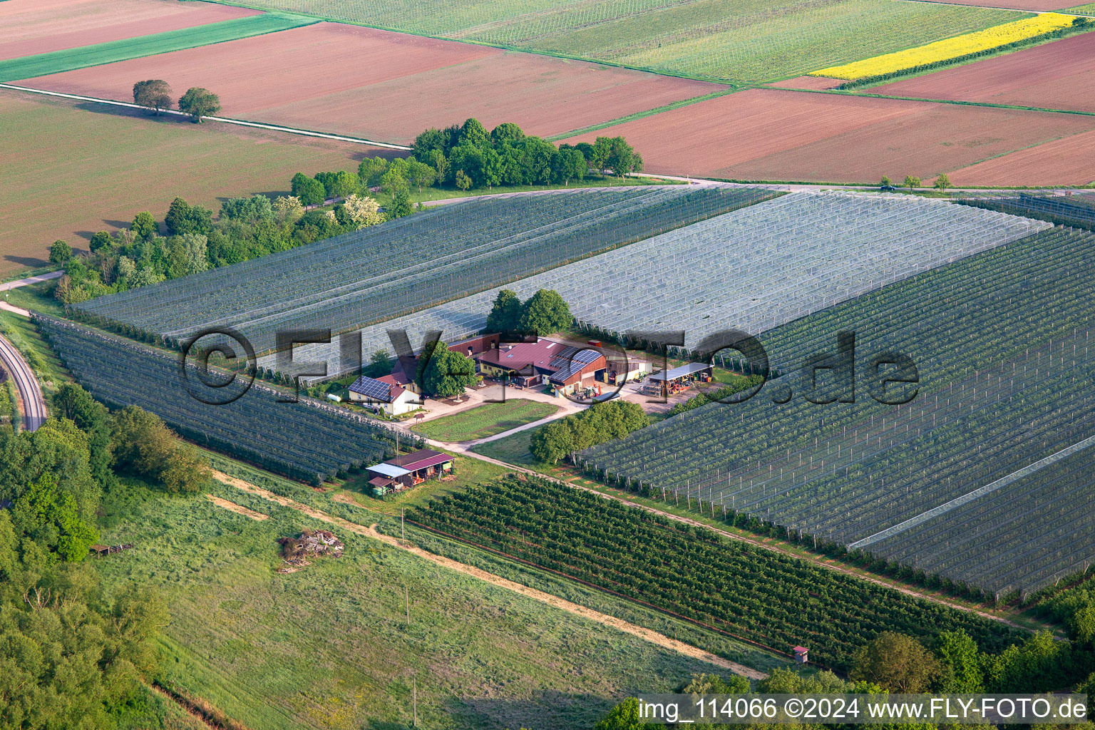 Gensheimer Fruit and Asparagus Farm in Steinweiler in the state Rhineland-Palatinate, Germany