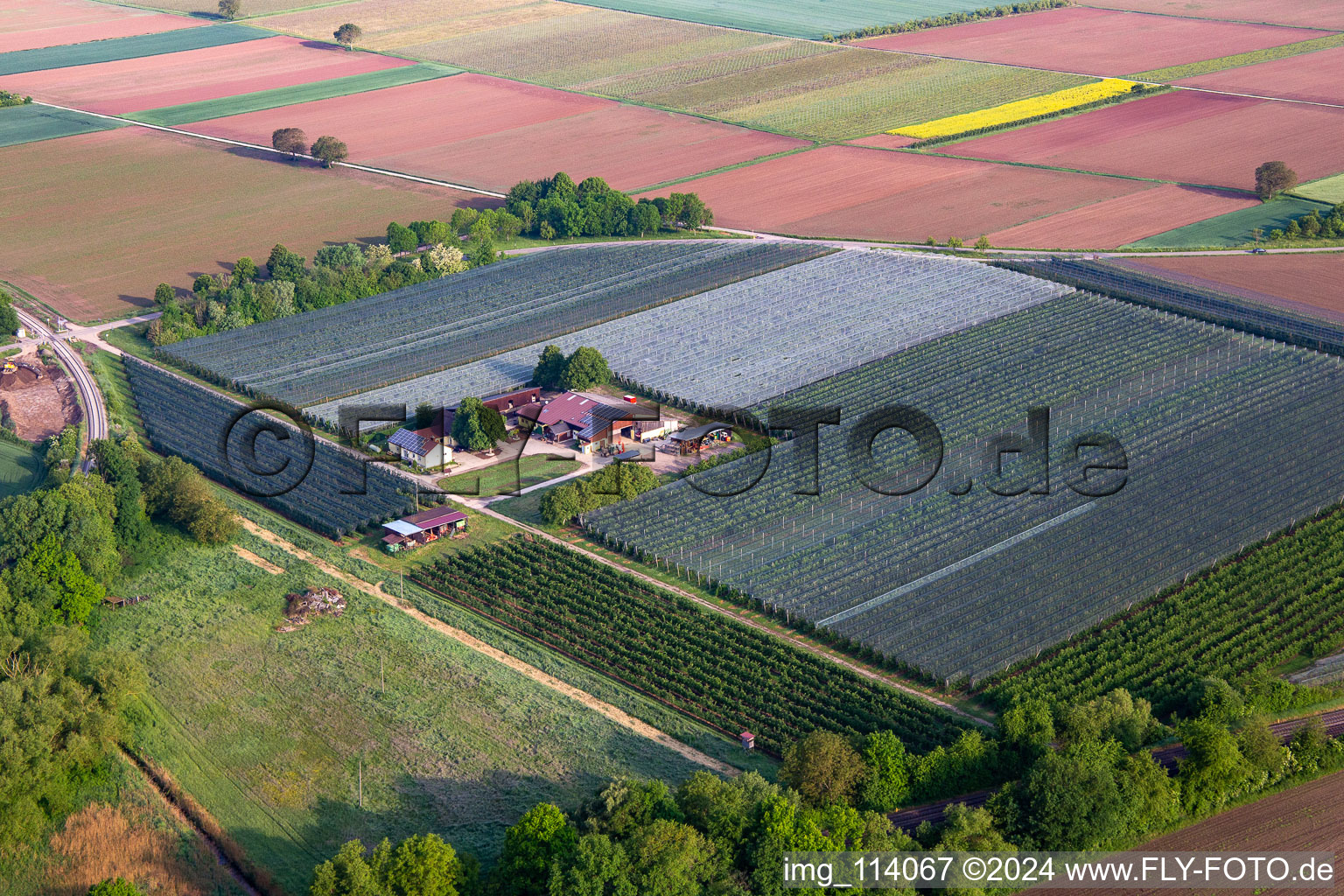 Aerial view of Gensheimer Fruit and Asparagus Farm in Steinweiler in the state Rhineland-Palatinate, Germany