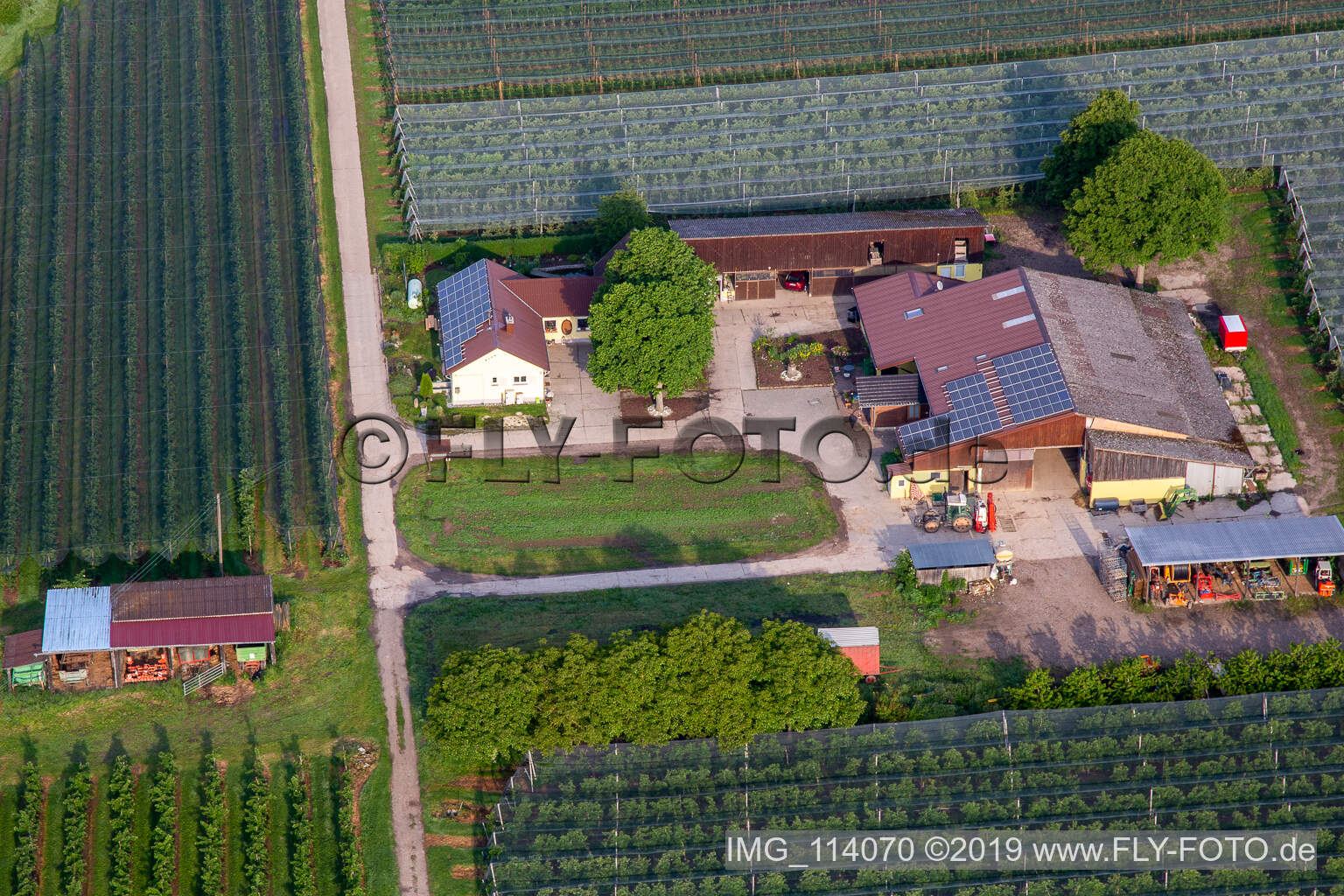 Oblique view of Gensheimer fruit and spagel farm in Steinweiler in the state Rhineland-Palatinate, Germany
