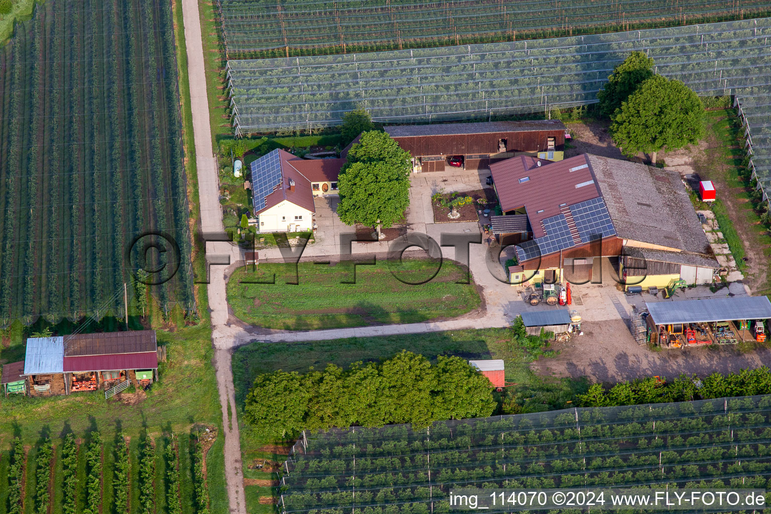 Oblique view of Gensheimer fruit and spagel farm in Steinweiler in the state Rhineland-Palatinate, Germany