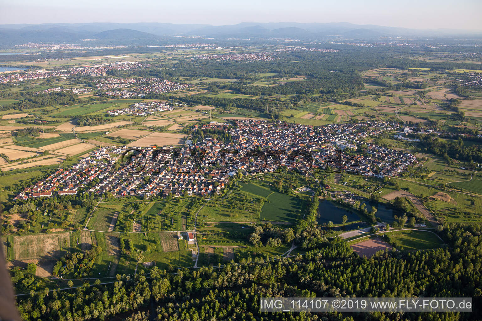Au am Rhein in the state Baden-Wuerttemberg, Germany seen from above