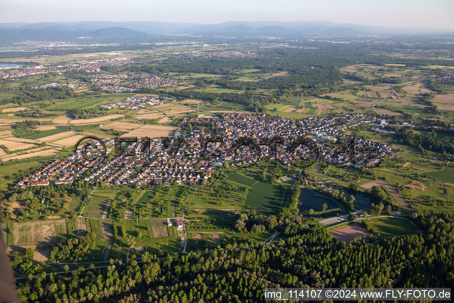 Au am Rhein in the state Baden-Wuerttemberg, Germany seen from above