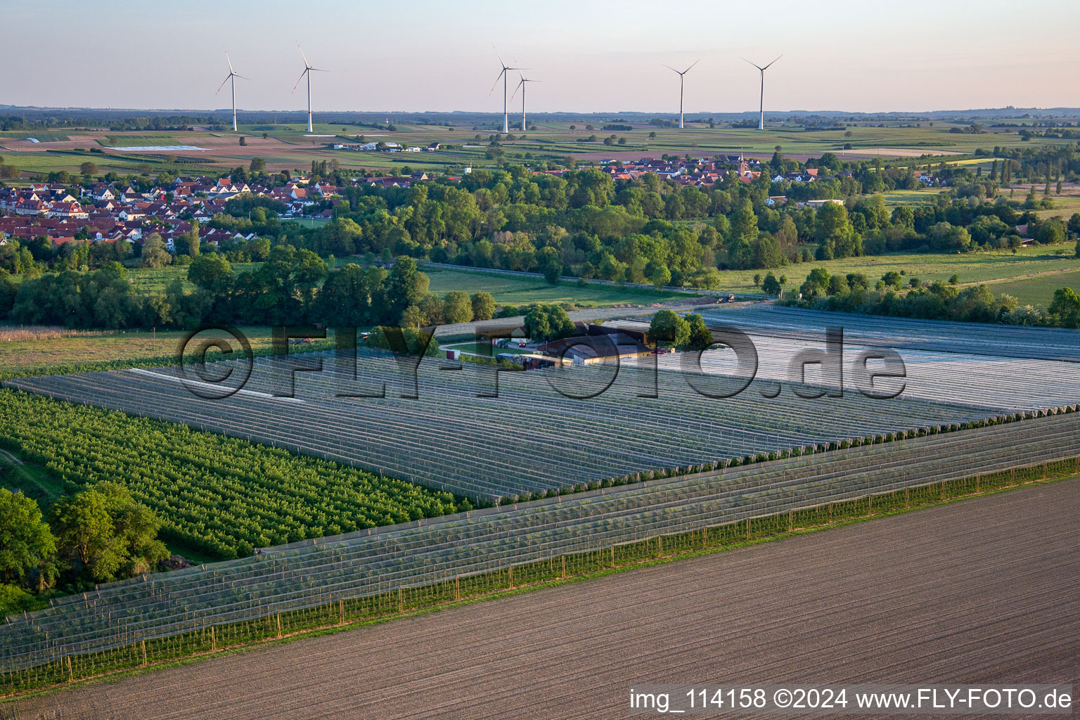 Gensheimer Fruit and Asparagus Farm in Steinweiler in the state Rhineland-Palatinate, Germany out of the air