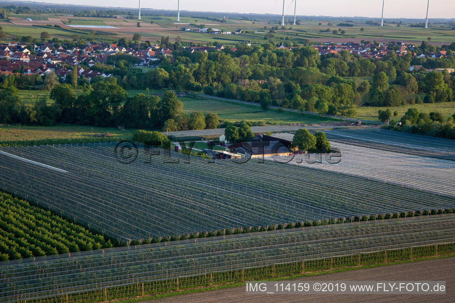 Gensheimer fruit and spagel farm in Steinweiler in the state Rhineland-Palatinate, Germany seen from above