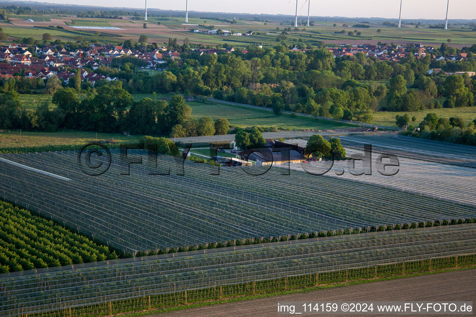 Gensheimer fruit and spagel farm in Steinweiler in the state Rhineland-Palatinate, Germany seen from above