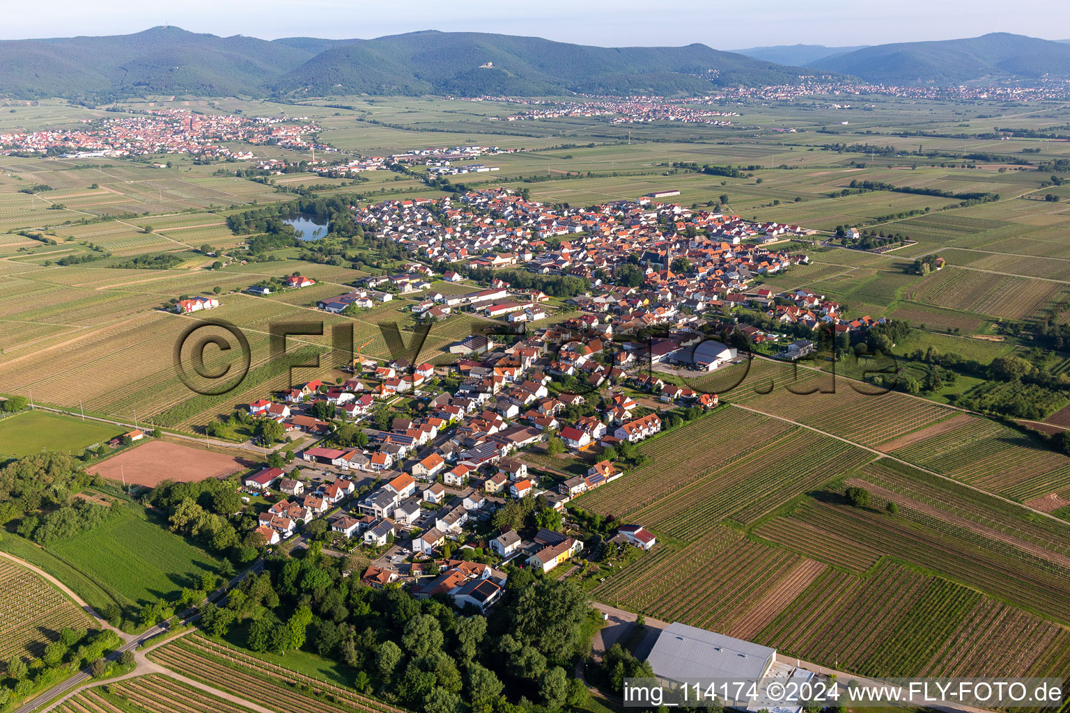 Oblique view of Village - view on the edge of agricultural fields and farmland in Kirrweiler (Pfalz) in the state Rhineland-Palatinate, Germany