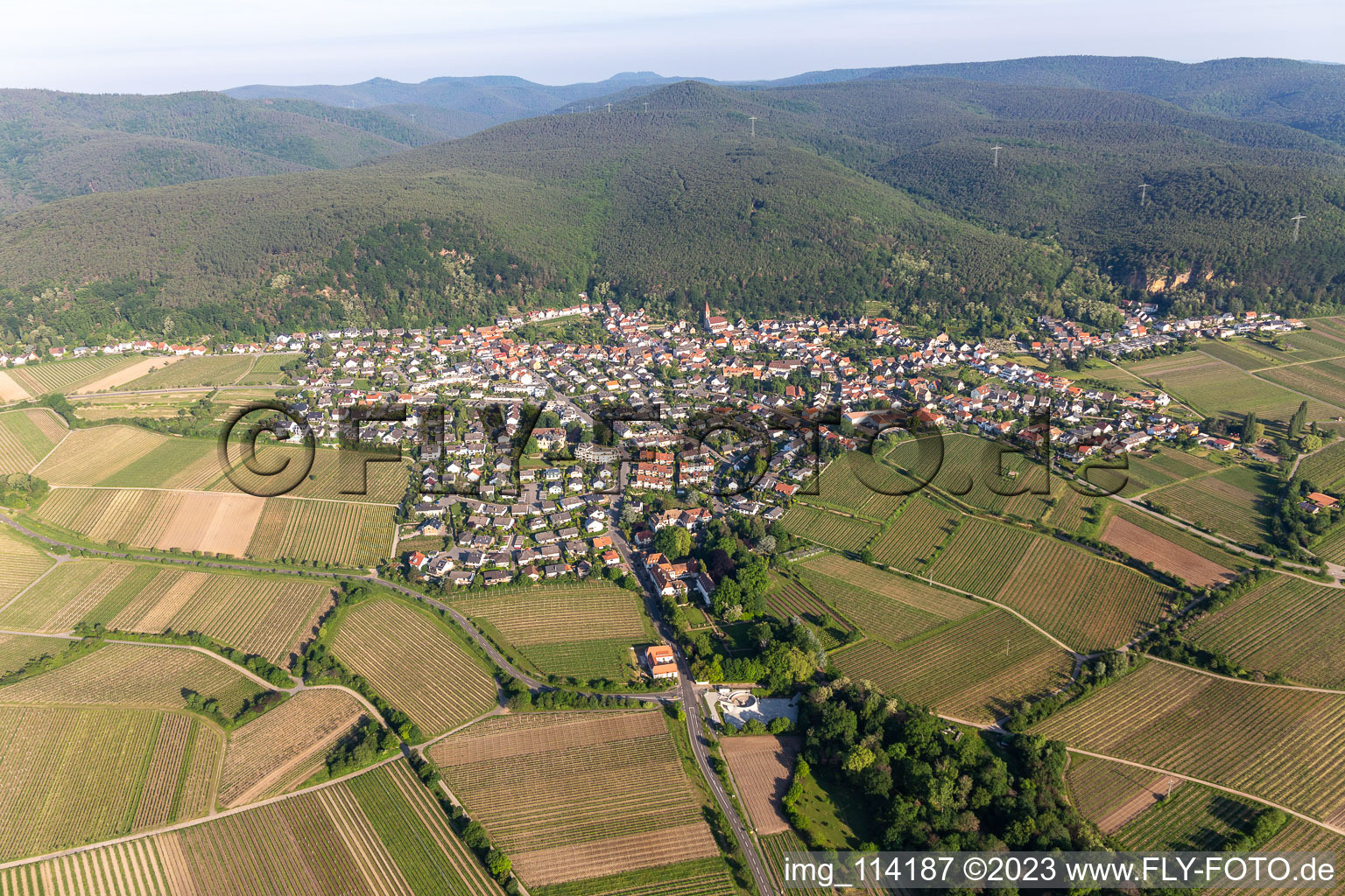 District Königsbach in Neustadt an der Weinstraße in the state Rhineland-Palatinate, Germany from above