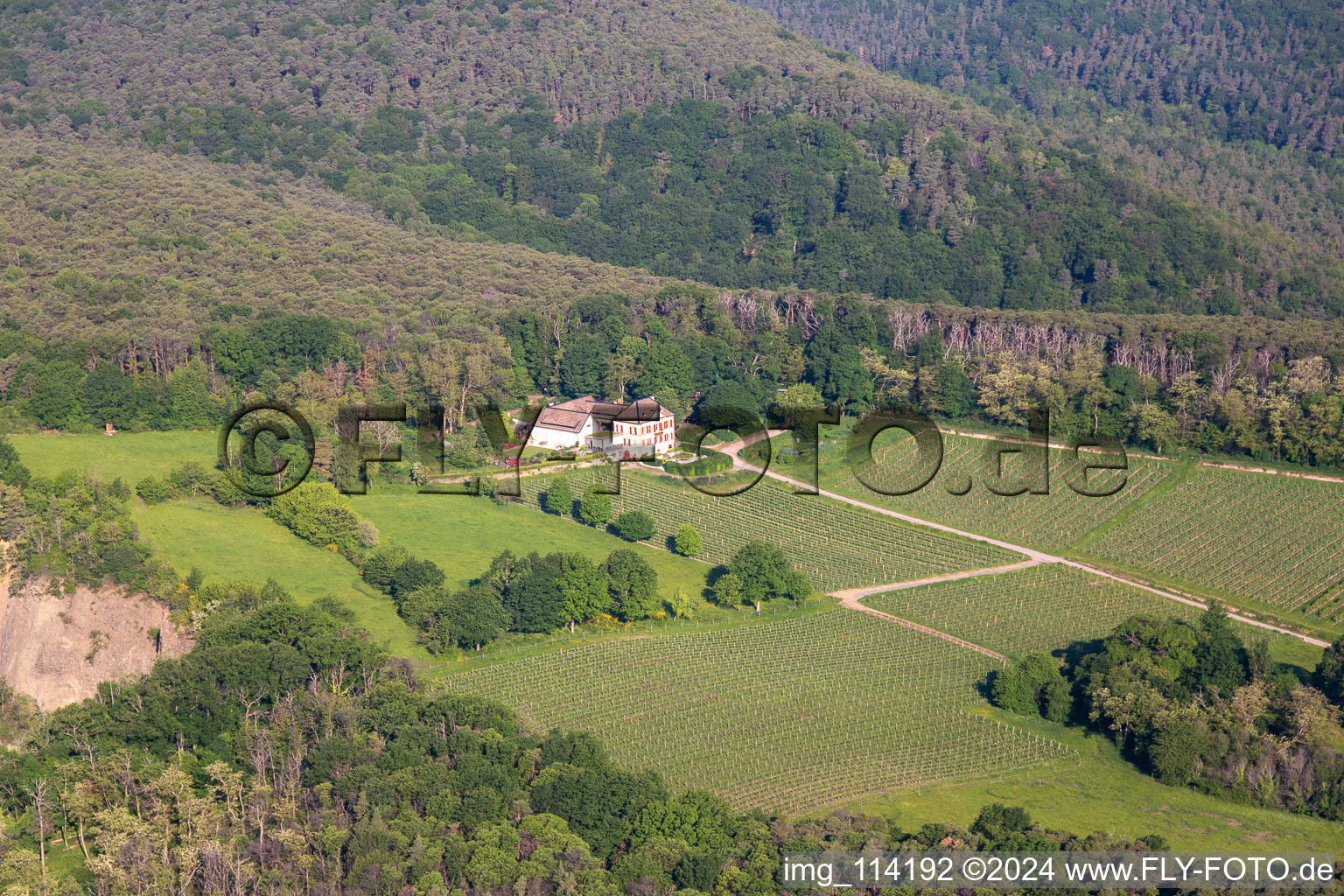 Aerial view of Odinstal Winery in Forst an der Weinstraße in the state Rhineland-Palatinate, Germany