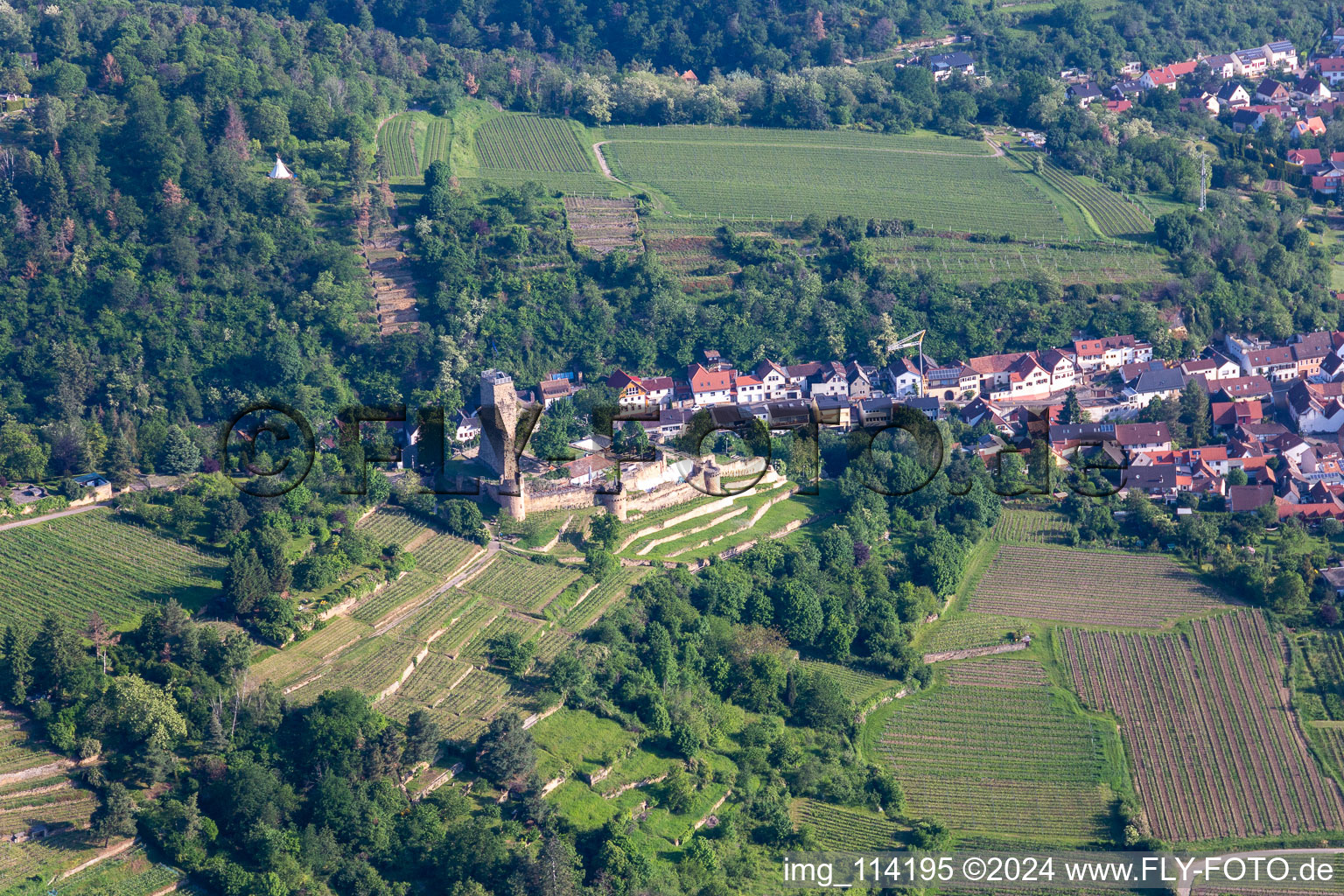 Wachtenburg in Wachenheim an der Weinstraße in the state Rhineland-Palatinate, Germany