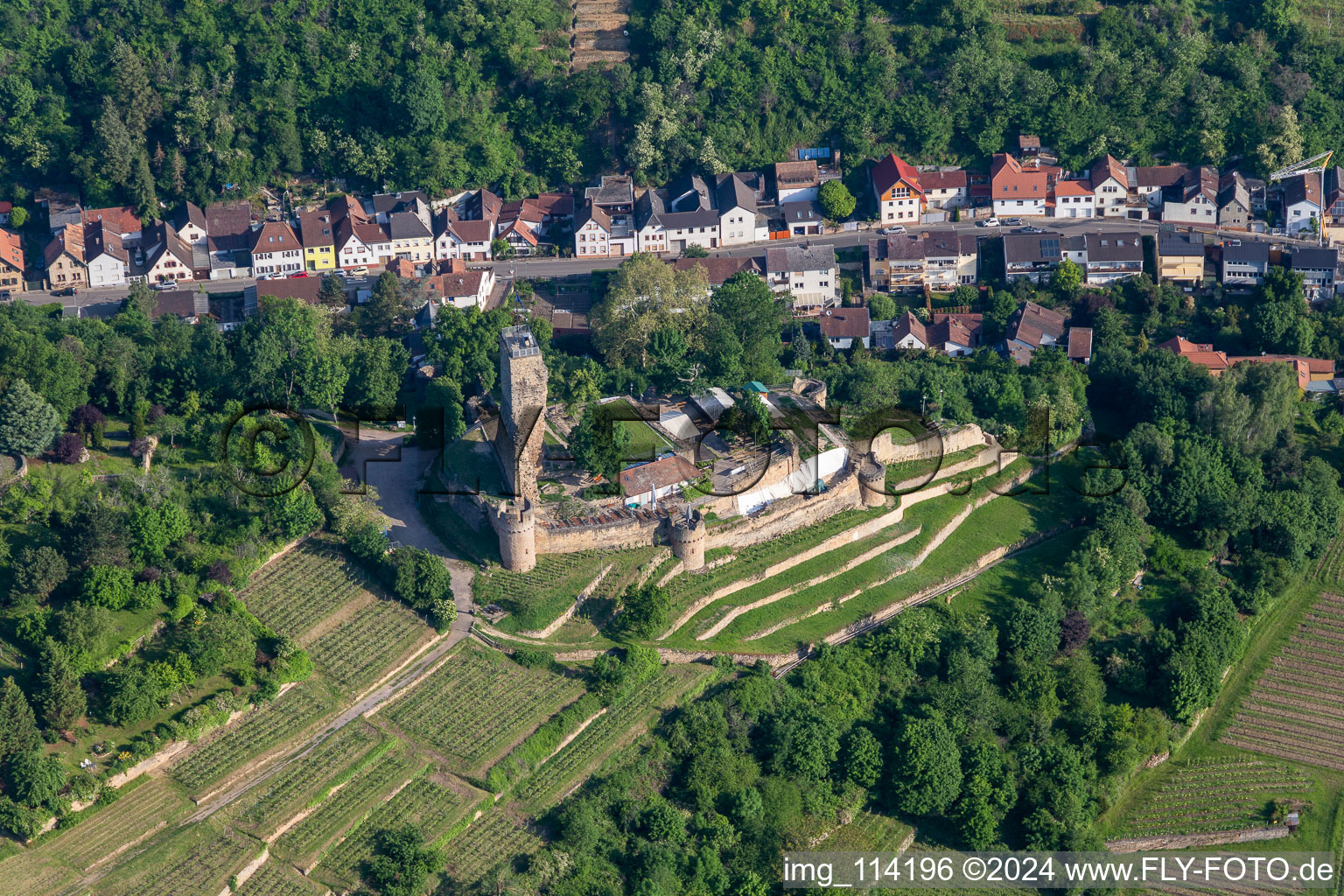 Ruins of the former fortress Wachtenburg ("Burg Wachenheim") in Wachenheim an der Weinstrasse in the state Rhineland-Palatinate, Germany out of the air