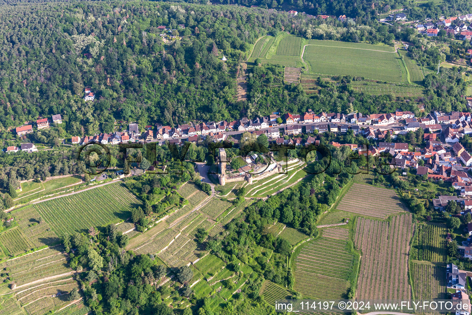 Aerial view of Wachtenburg in Wachenheim an der Weinstraße in the state Rhineland-Palatinate, Germany