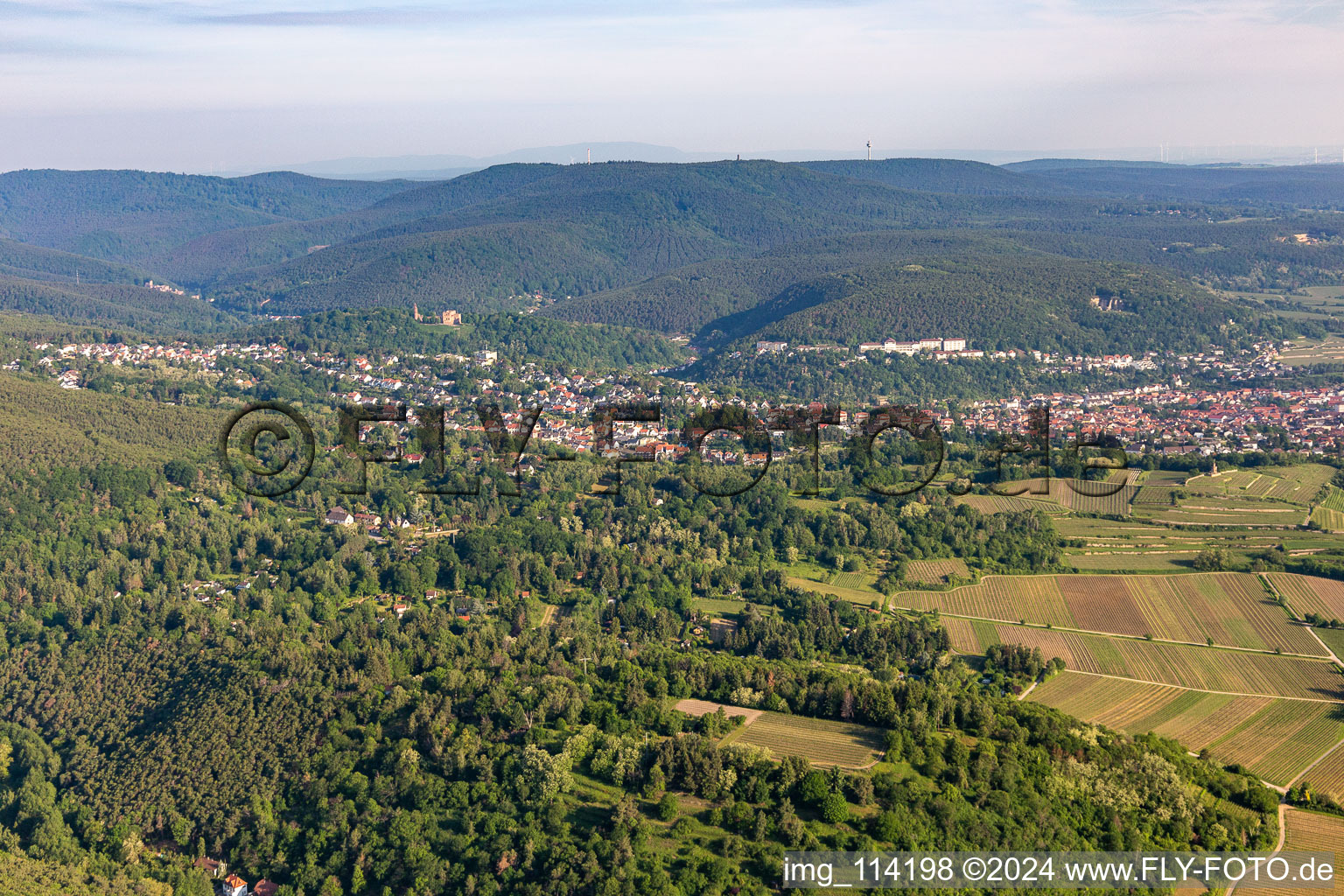 Haardtrand On the Krähhöhle in the district Seebach in Bad Dürkheim in the state Rhineland-Palatinate, Germany