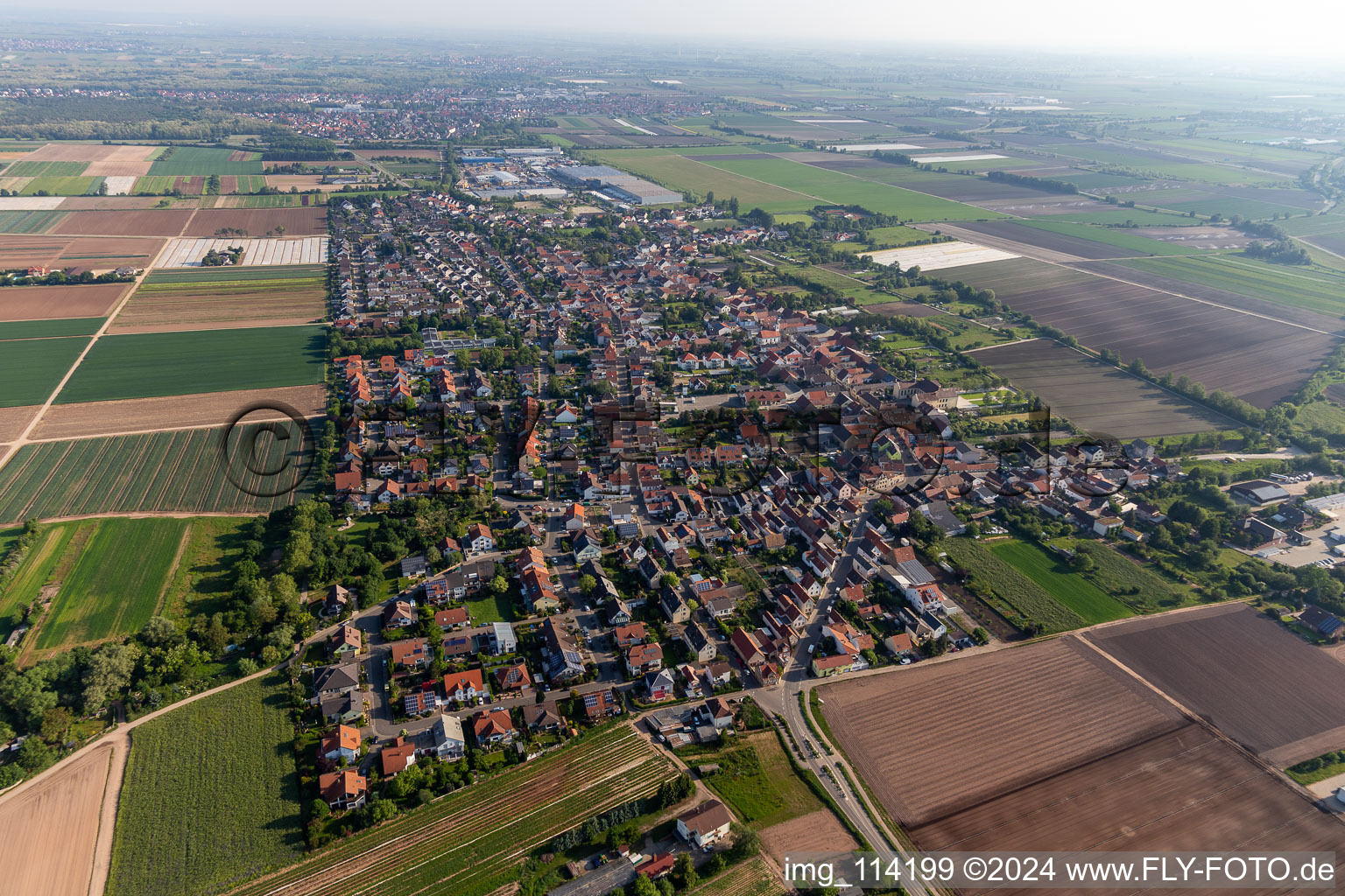 Fußgönheim in the state Rhineland-Palatinate, Germany viewn from the air