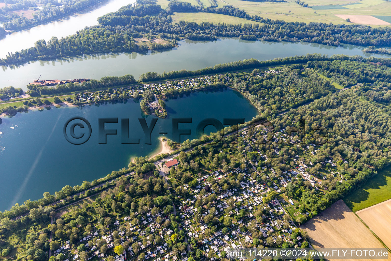 Marxweiher in Waldsee in the state Rhineland-Palatinate, Germany