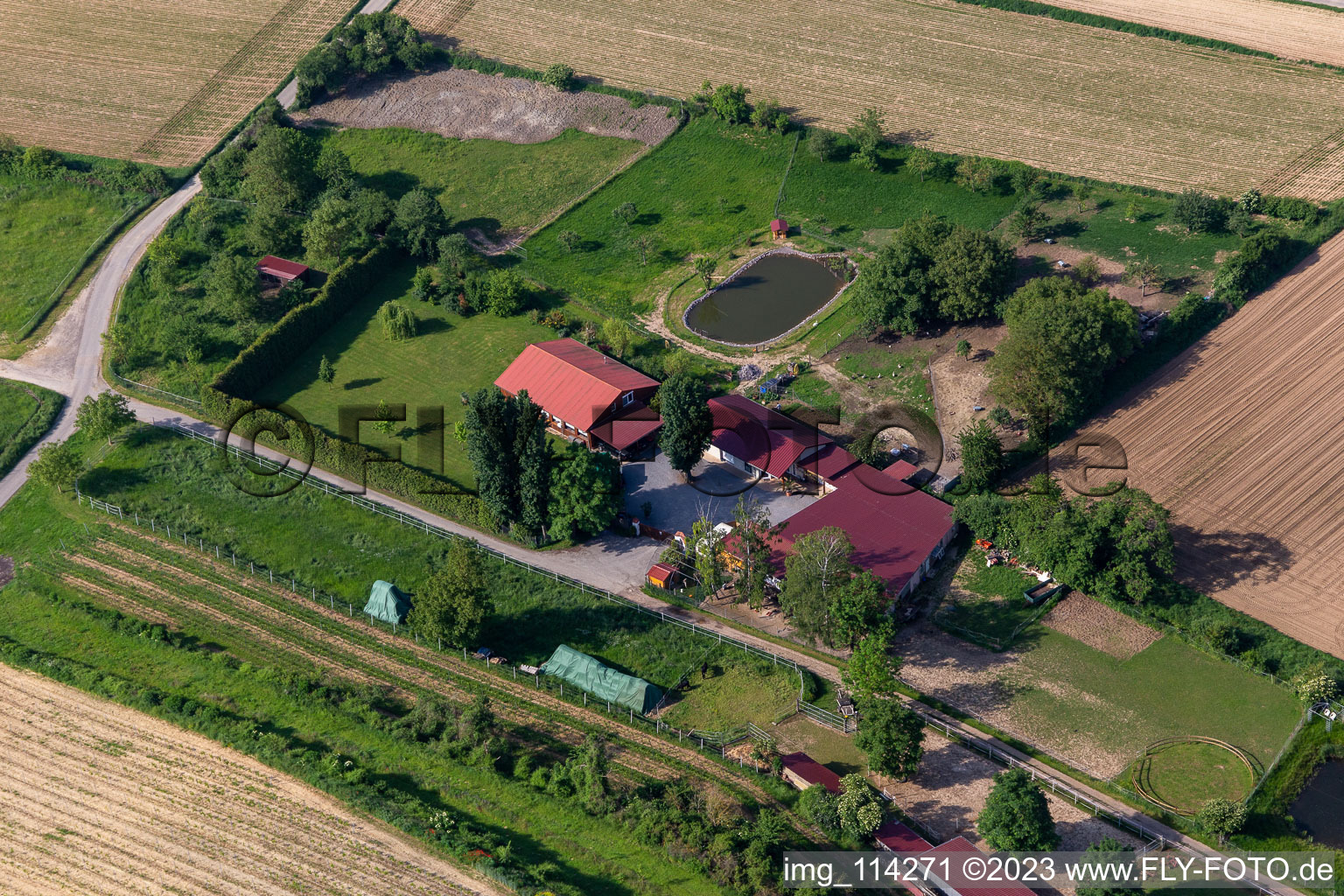 District Herxheim in Herxheim bei Landau/Pfalz in the state Rhineland-Palatinate, Germany seen from a drone