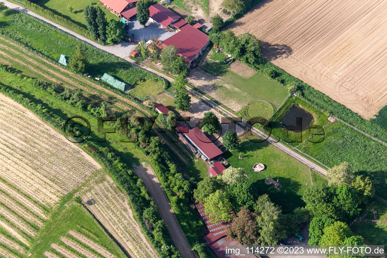 Aerial view of District Herxheim in Herxheim bei Landau/Pfalz in the state Rhineland-Palatinate, Germany