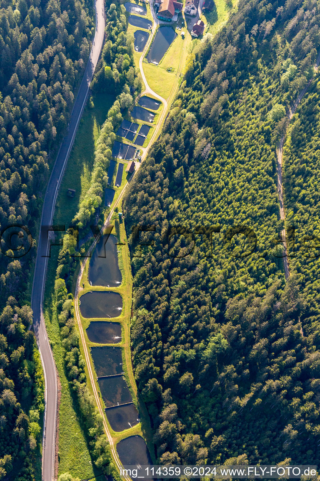 Fish ponds on the Nagold in Grömbach in the state Baden-Wuerttemberg, Germany