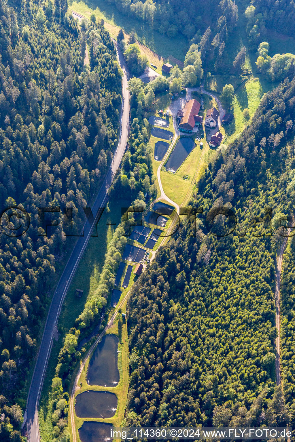 Shore areas of the ponds for fish farming on Mill channel of the Nagold in the district Voelmlesmuehle in Groembach in the state Baden-Wurttemberg, Germany