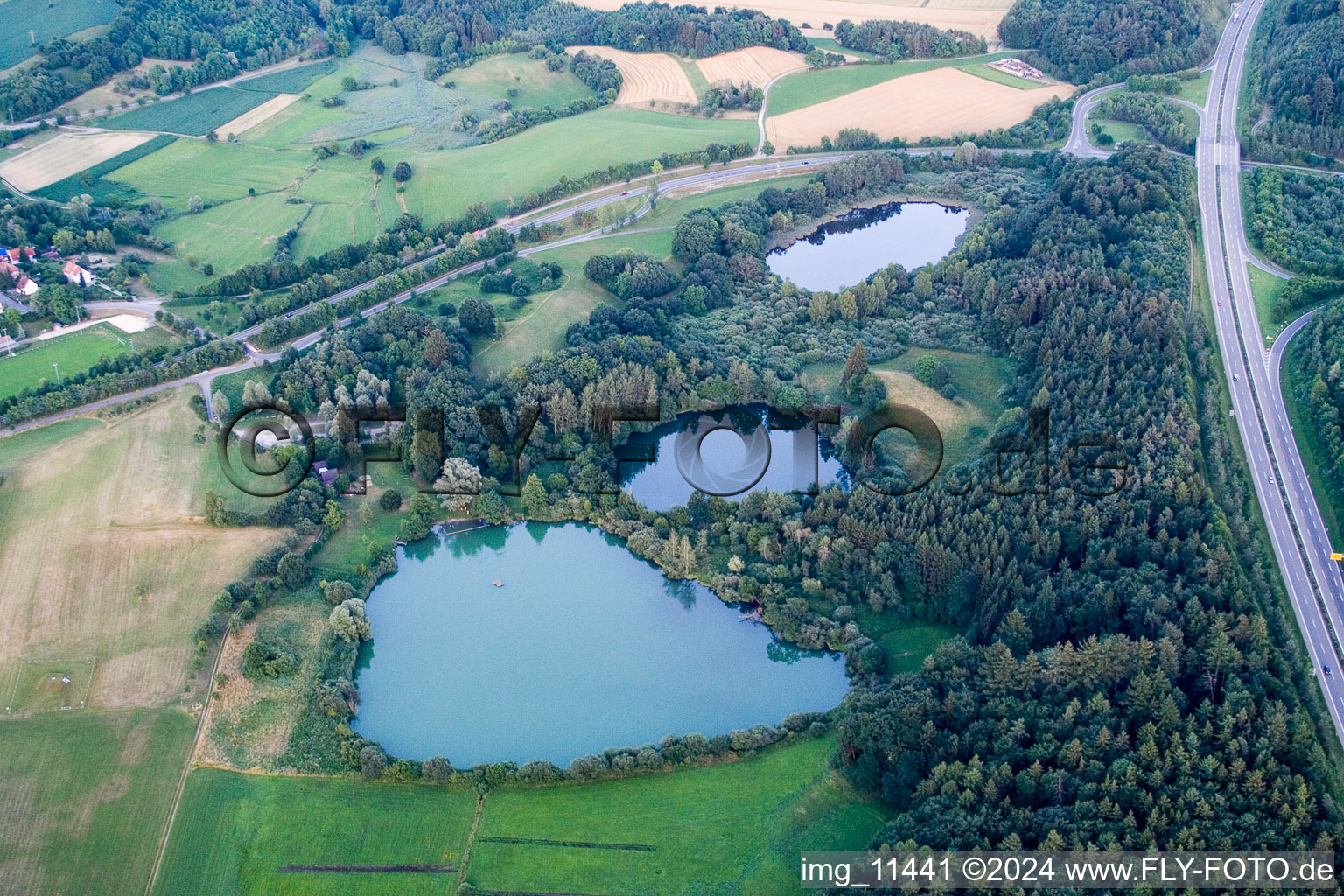 Beech lakes in the district Güttingen in Radolfzell am Bodensee in the state Baden-Wuerttemberg, Germany