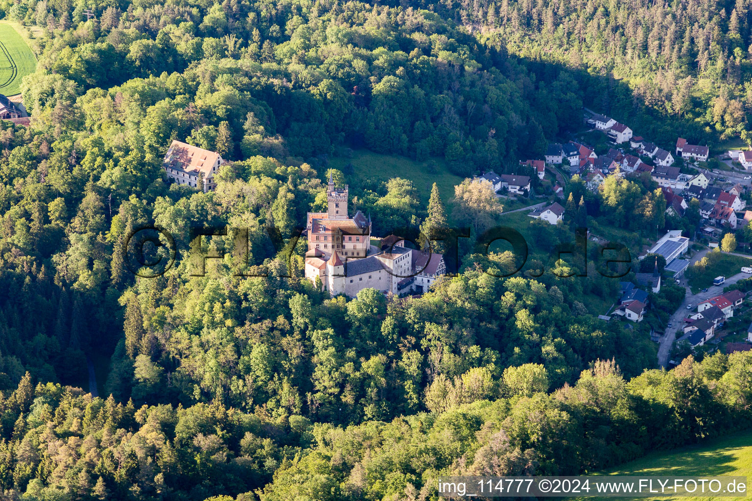 Castle of Hohenmuehringen in Horb am Neckar in the state Baden-Wurttemberg, Germany