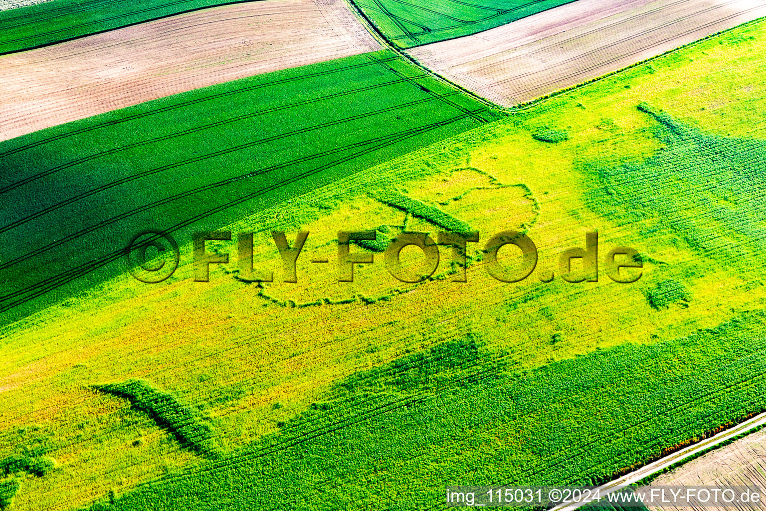 Drone recording of Seltz in the state Bas-Rhin, France