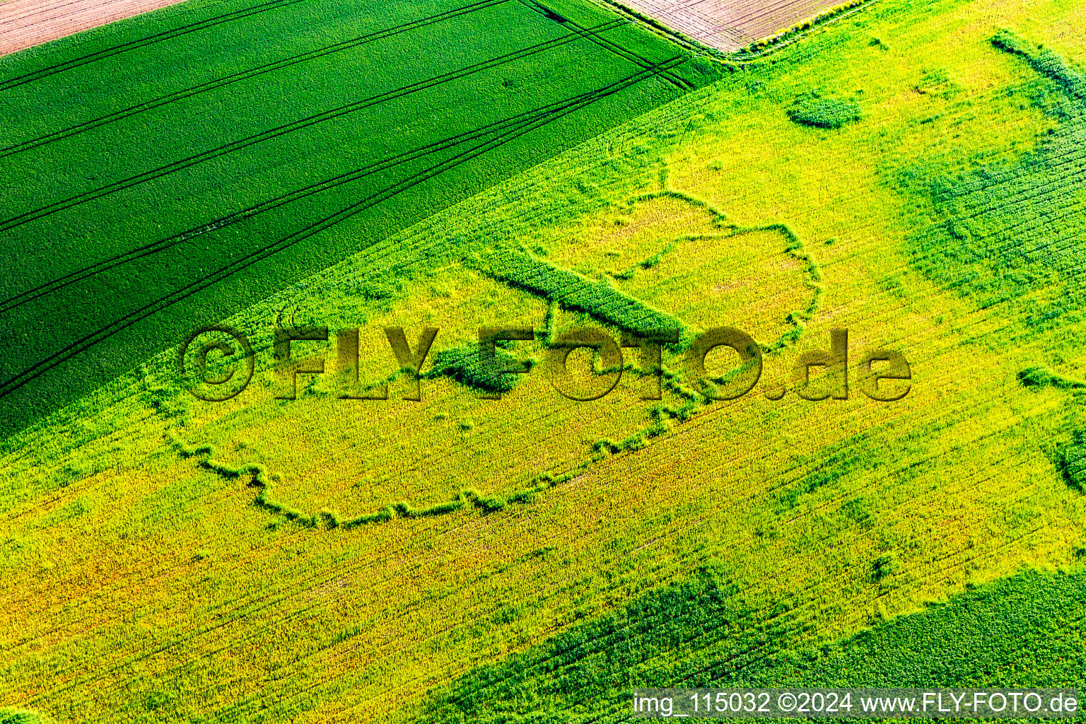 Drone image of Seltz in the state Bas-Rhin, France