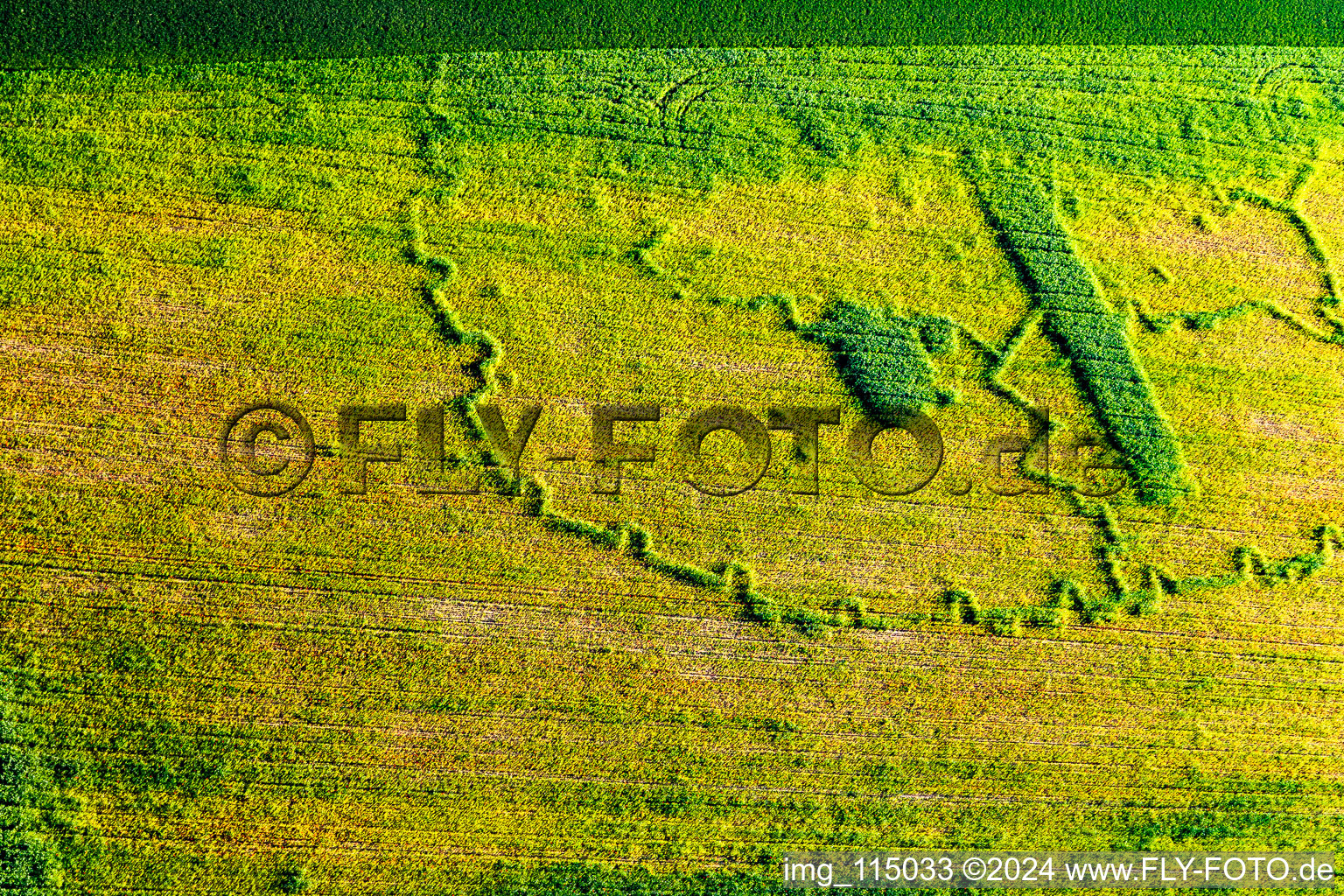 Wintzenbach in the state Bas-Rhin, France from a drone