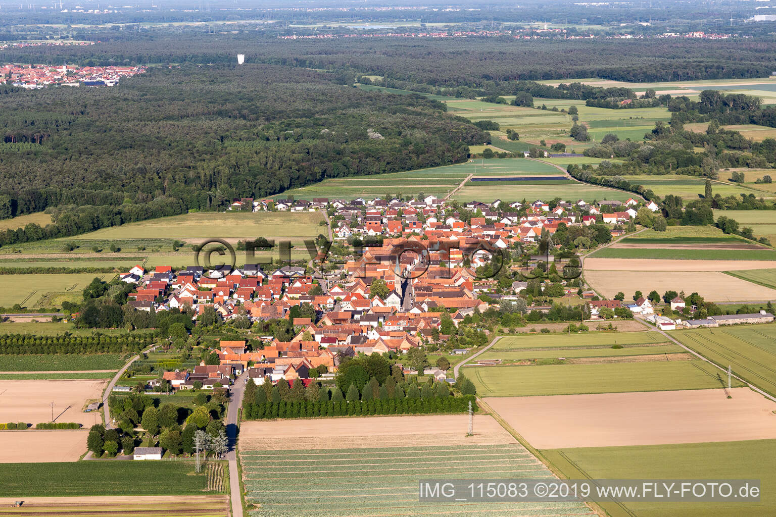 Erlenbach bei Kandel in the state Rhineland-Palatinate, Germany from a drone