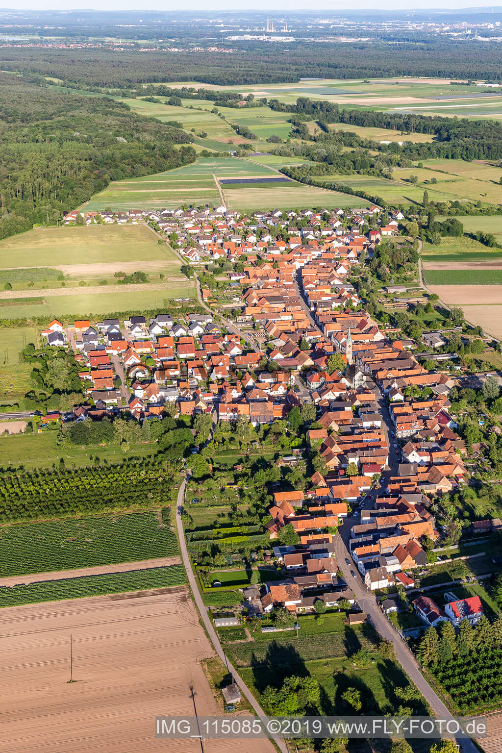 Aerial view of Erlenbach bei Kandel in the state Rhineland-Palatinate, Germany