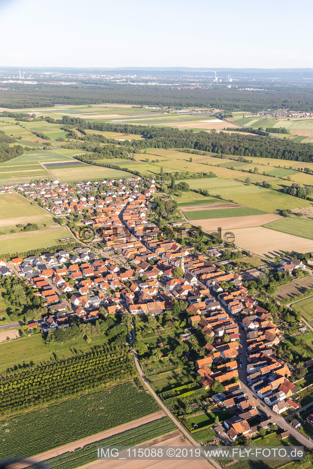 Oblique view of Erlenbach bei Kandel in the state Rhineland-Palatinate, Germany