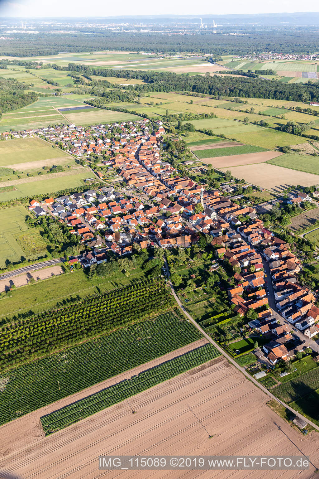 Erlenbach bei Kandel in the state Rhineland-Palatinate, Germany from above