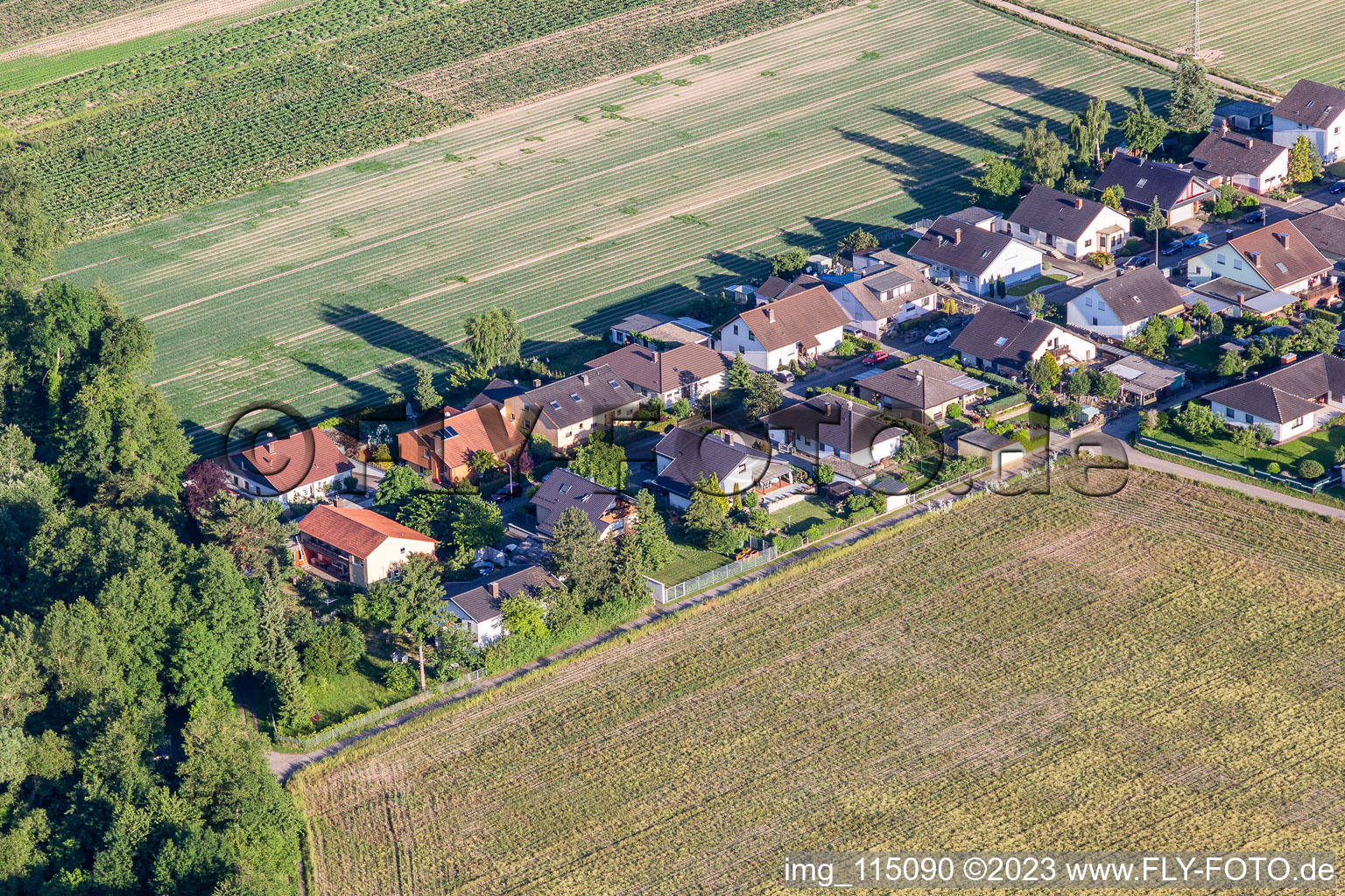 Waldstrasse in Erlenbach bei Kandel in the state Rhineland-Palatinate, Germany