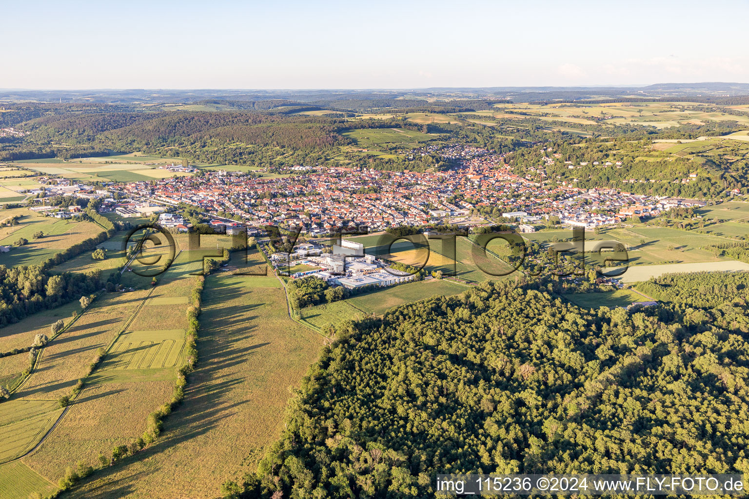 Weingarten in the state Baden-Wuerttemberg, Germany from above