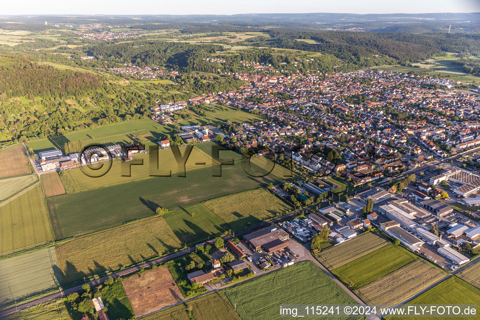 Bird's eye view of Weingarten in the state Baden-Wuerttemberg, Germany