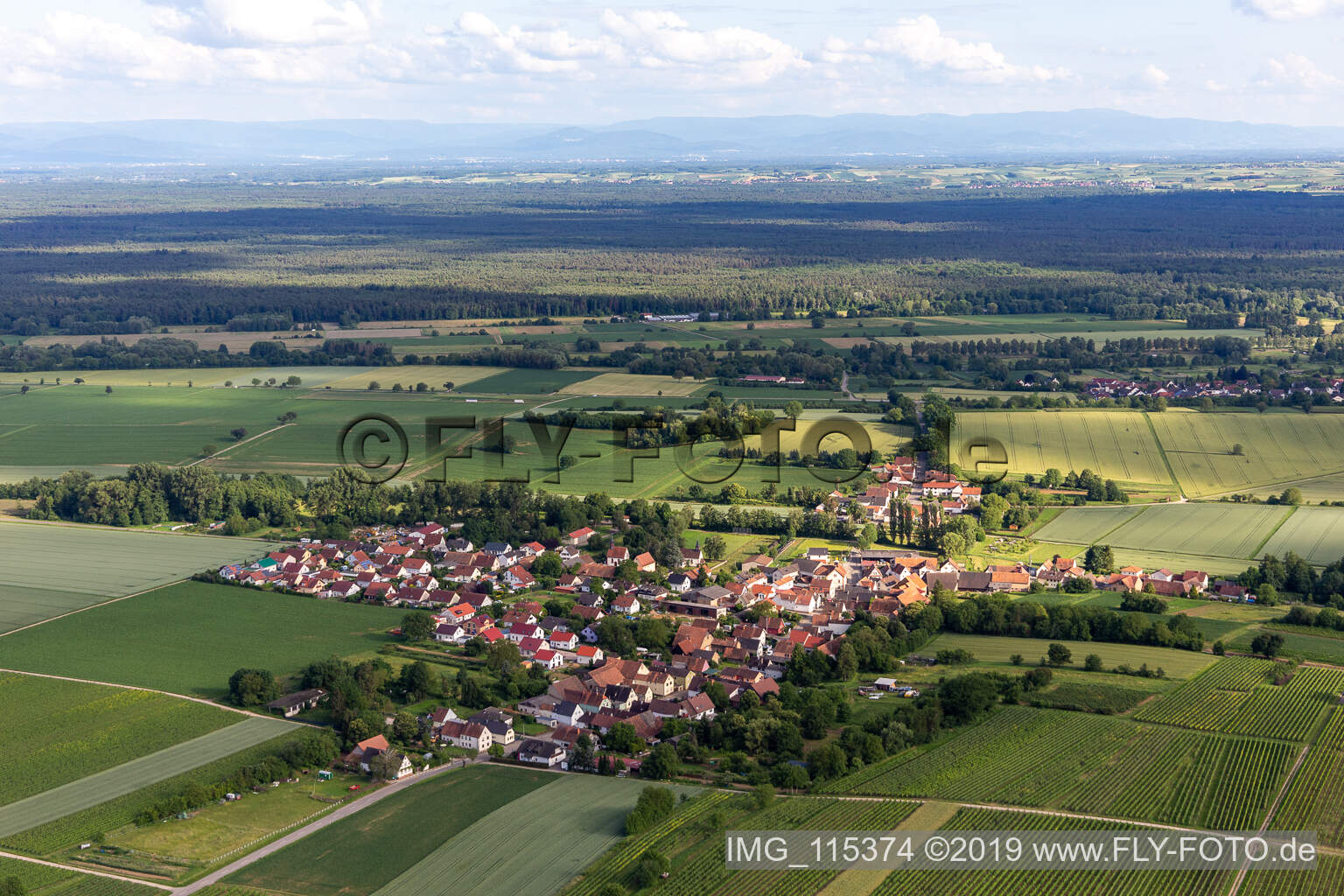 Bird's eye view of Niederotterbach in the state Rhineland-Palatinate, Germany