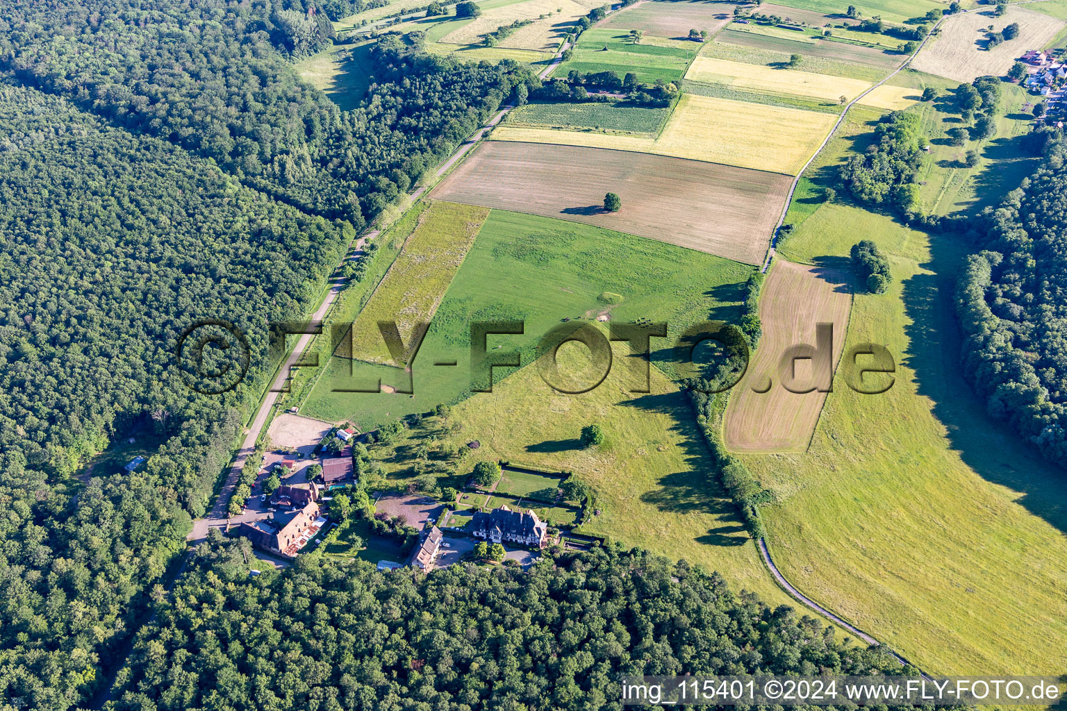 Aerial view of Villa Le Riesack in Niederbronn-les-Bains in the state Bas-Rhin, France