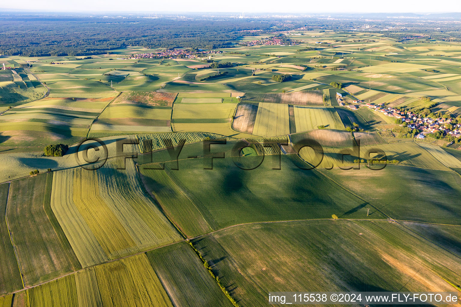 Structures of a field landscape of Alsace south of the Bienwald in Siegen in Grand Est, France