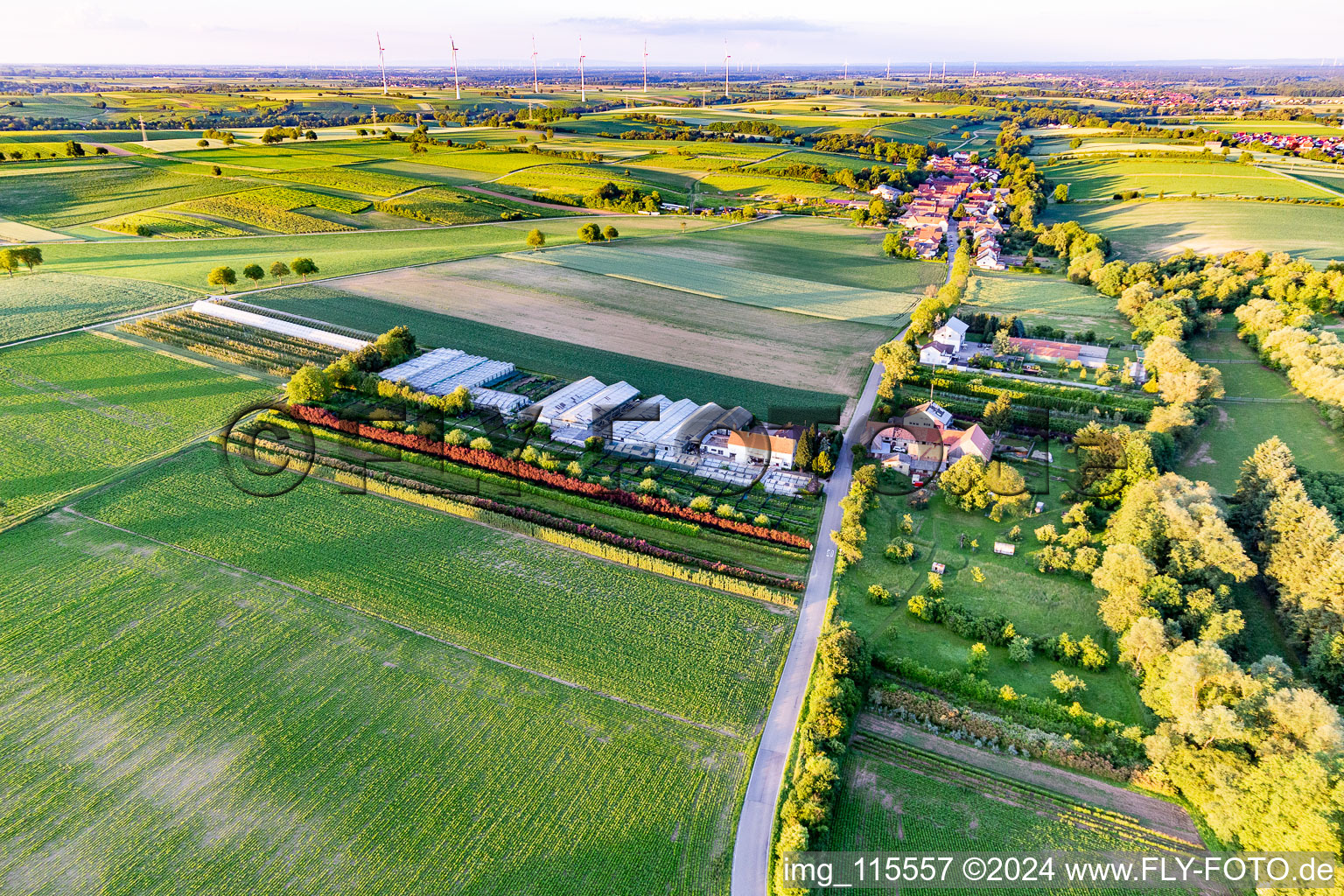 Aerial view of Dieter Schmeißer cut green in Vollmersweiler in the state Rhineland-Palatinate, Germany