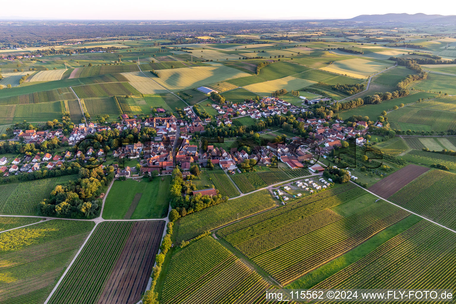 Oblique view of Dierbach in the state Rhineland-Palatinate, Germany